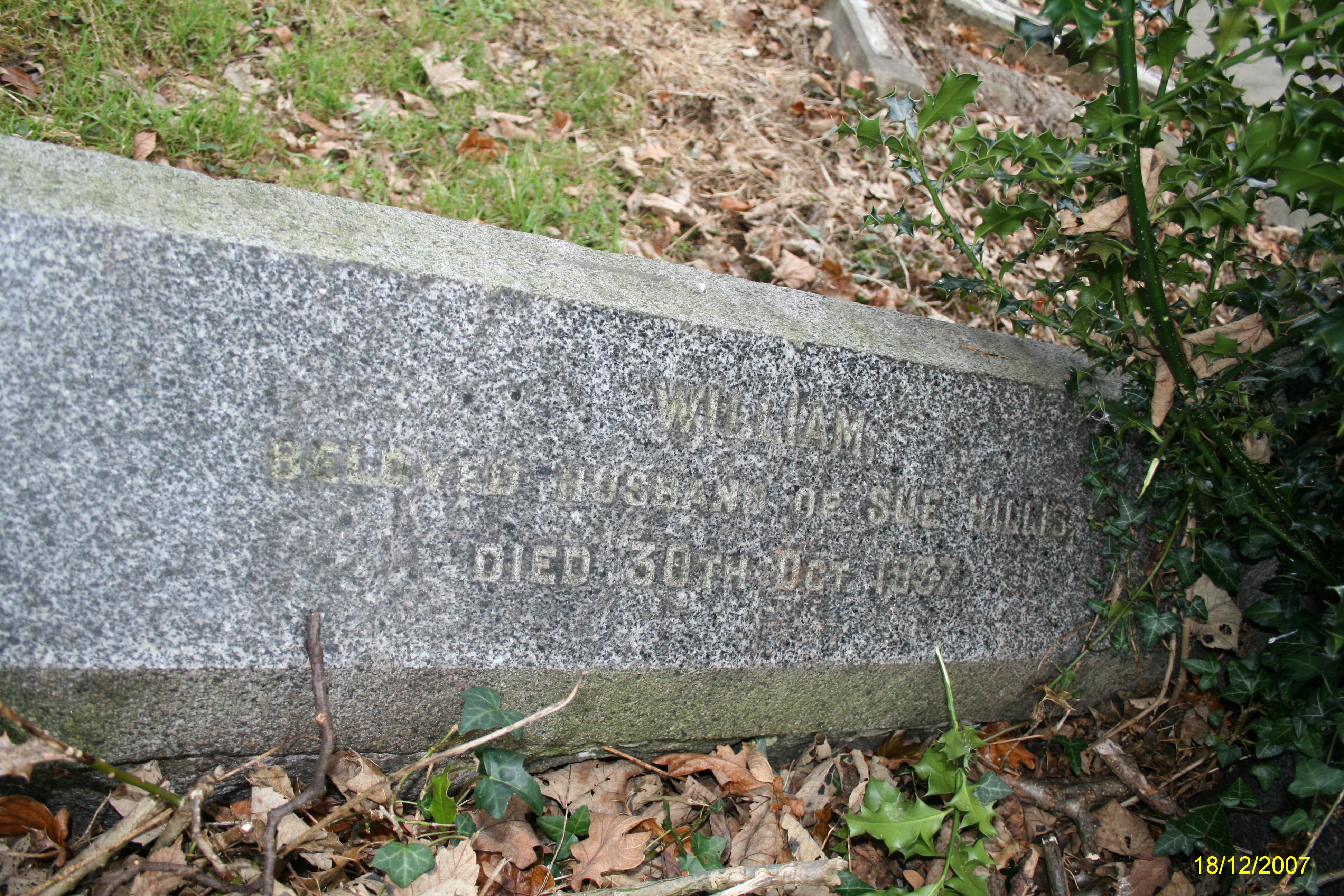 hillis grave 2009 3