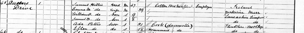 samuel hillis census 1901